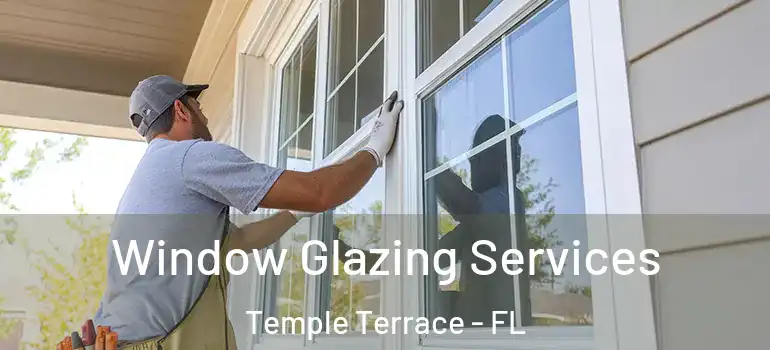 Window Glazing Services Temple Terrace - FL