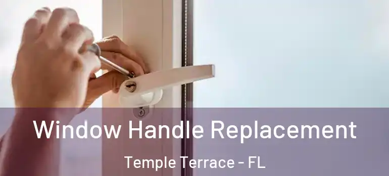 Window Handle Replacement Temple Terrace - FL