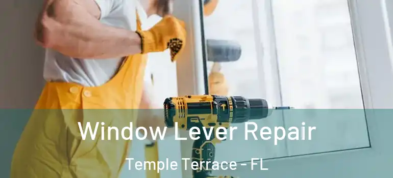 Window Lever Repair Temple Terrace - FL