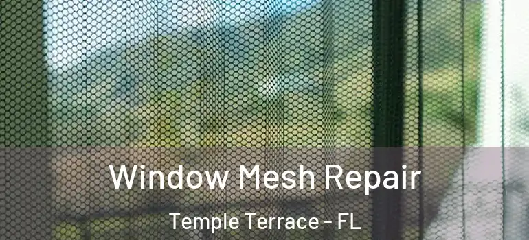 Window Mesh Repair Temple Terrace - FL