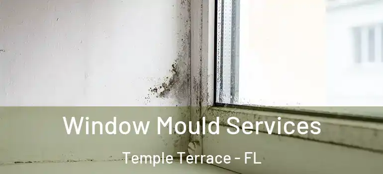 Window Mould Services Temple Terrace - FL