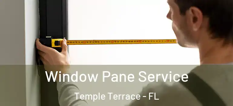  Window Pane Service Temple Terrace - FL