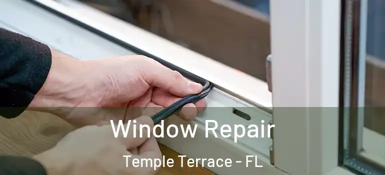 Window Repair Temple Terrace - FL