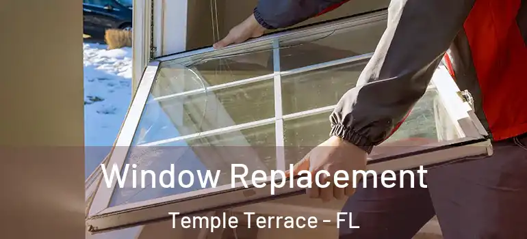 Window Replacement Temple Terrace - FL