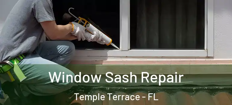 Window Sash Repair Temple Terrace - FL