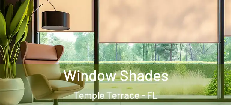 Window Shades Temple Terrace - FL