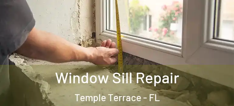 Window Sill Repair Temple Terrace - FL